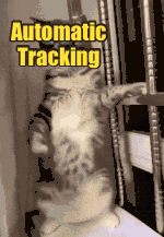 GIF motion tracking editor for text