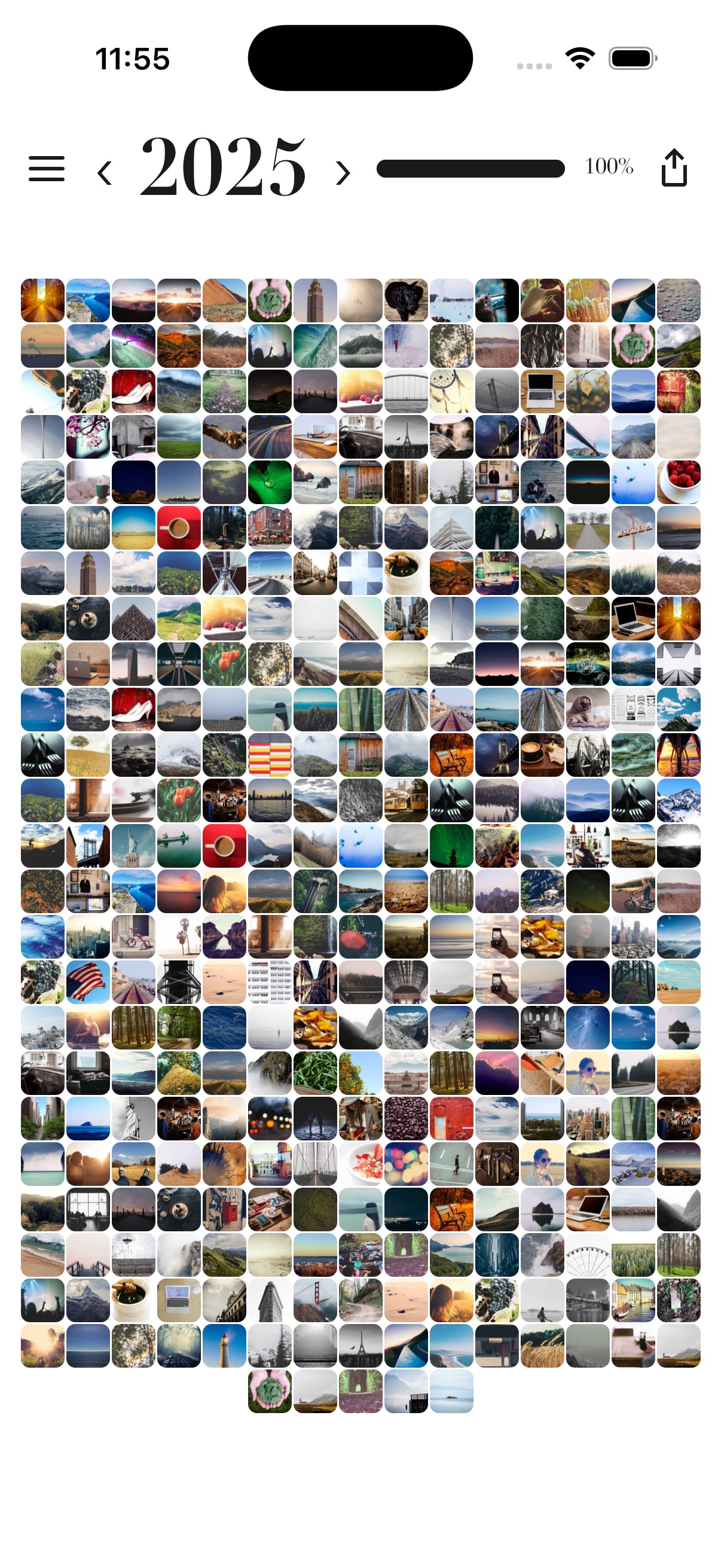 Your Year year-in-photos grid view